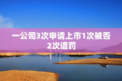一公司3次申请上市1次被否2次遭罚
