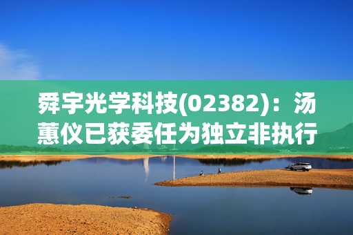 舜宇光学科技(02382)：汤蕙仪已获委任为独立非执行董事