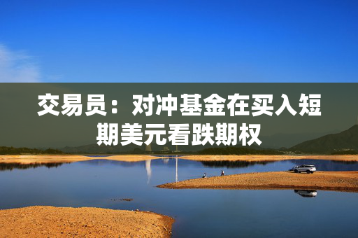 交易员：对冲基金在买入短期美元看跌期权