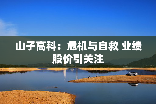 山子高科：危机与自救 业绩股价引关注