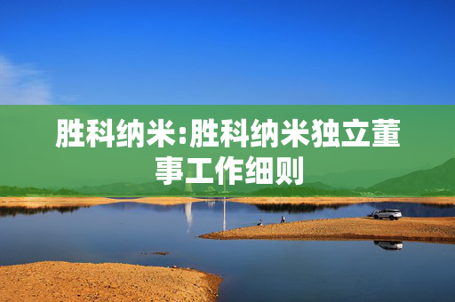 胜科纳米:胜科纳米独立董事工作细则