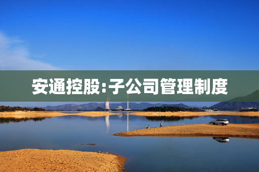 安通控股:子公司管理制度