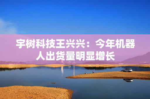 宇树科技王兴兴：今年机器人出货量明显增长