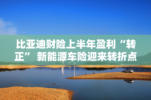 比亚迪财险上半年盈利“转正” 新能源车险迎来转折点？