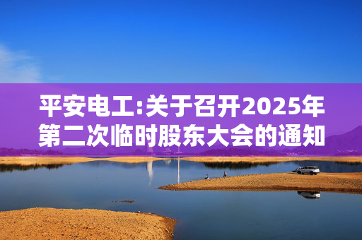 平安电工:关于召开2025年第二次临时股东大会的通知