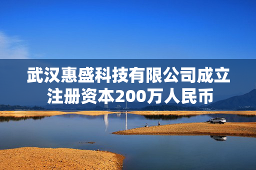 武汉惠盛科技有限公司成立 注册资本200万人民币