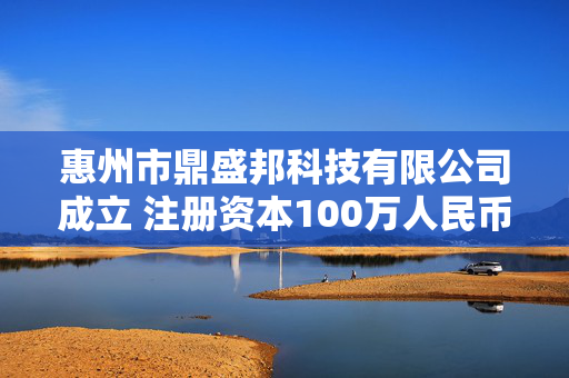 惠州市鼎盛邦科技有限公司成立 注册资本100万人民币