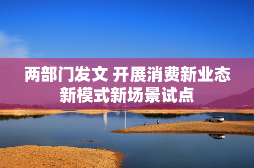 两部门发文 开展消费新业态新模式新场景试点