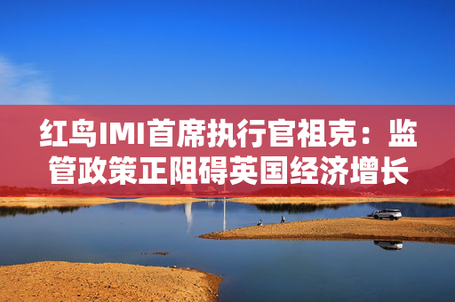 红鸟IMI首席执行官祖克：监管政策正阻碍英国经济增长