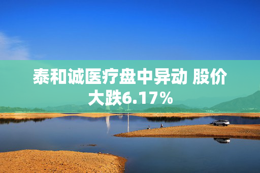 泰和诚医疗盘中异动 股价大跌6.17%