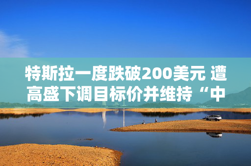 特斯拉一度跌破200美元 遭高盛下调目标价并维持“中性”评级