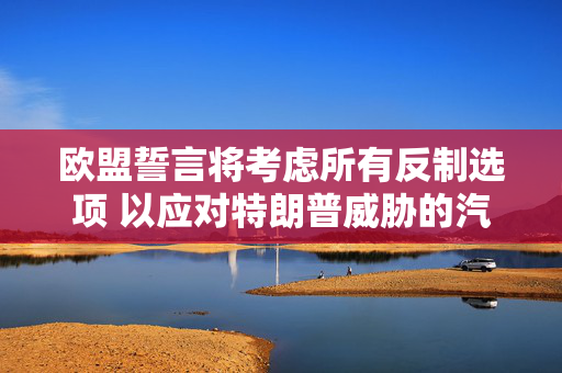 欧盟誓言将考虑所有反制选项 以应对特朗普威胁的汽车关税