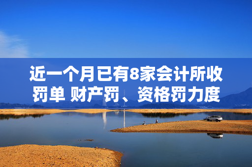 近一个月已有8家会计所收罚单 财产罚、资格罚力度加码