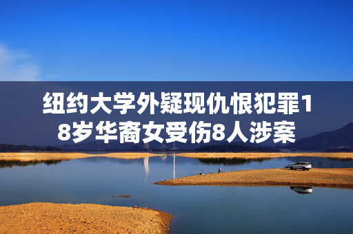 纽约大学外疑现仇恨犯罪18岁华裔女受伤8人涉案
