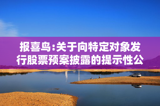 报喜鸟:关于向特定对象发行股票预案披露的提示性公告