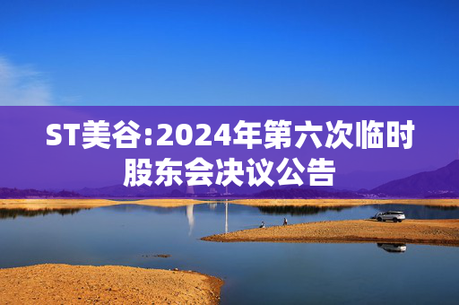 ST美谷:2024年第六次临时股东会决议公告