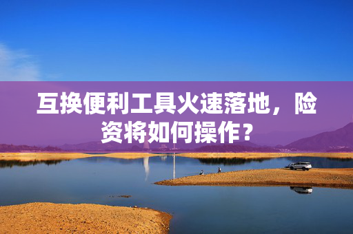 互换便利工具火速落地，险资将如何操作？