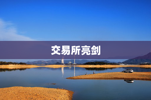交易所亮剑