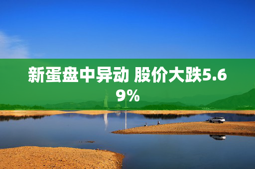 新蛋盘中异动 股价大跌5.69%