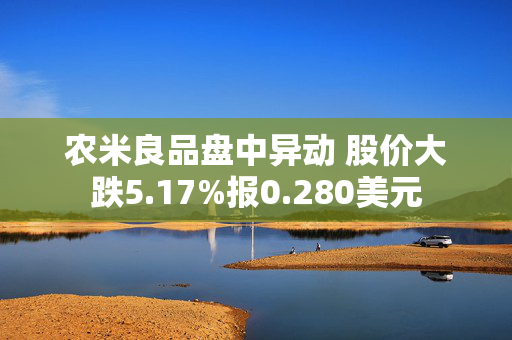 农米良品盘中异动 股价大跌5.17%报0.280美元