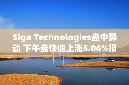 Siga Technologies盘中异动 下午盘快速上涨5.06%报6.02美元