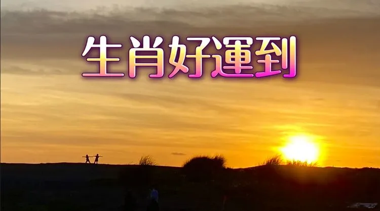 2生肖本周运势｜狗吃饱睡好羊只想躺平马防运动伤害