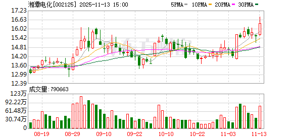 湘潭电化：选举职工董事